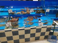 -果蔬好生活超市(乐堤港店)