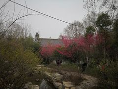 -习家池
