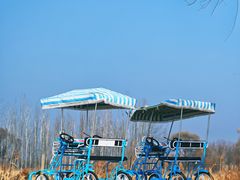 -野鸭湖国家湿地公园