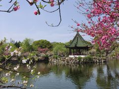-无锡蠡湖国家湿地公园-蠡园