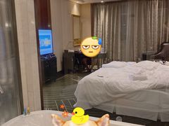 -常州武进九洲喜来登酒店