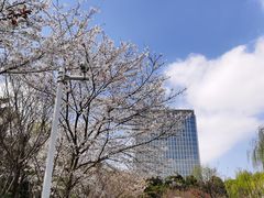 -大宁公园