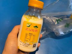 -德禄酸奶(小公园店)