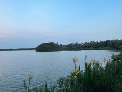 -海珠湖公园