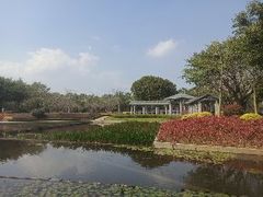 -厦门海湾公园游乐场