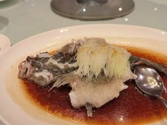 古法蒸石斑-利苑酒家(金宝店)