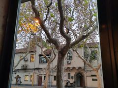 -毛辣果·酸(OHA复兴西路店)