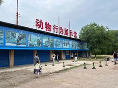 -秦皇岛野生动物园