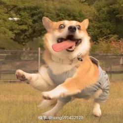 -HEYAN荷妍专业脱毛连锁机构
