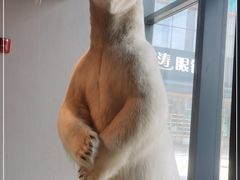 -魏客咖啡(中铁中心店)