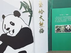 -西安大唐西市博物馆