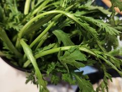 -祥源胡同·涮牛羊肉火锅(花桥店)