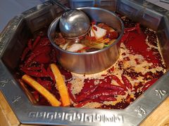 -蜀九香火锅(九眼桥店)