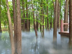 -东湖落雁景区