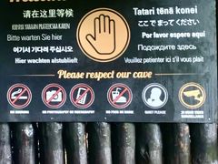 -怀托摩萤火虫洞