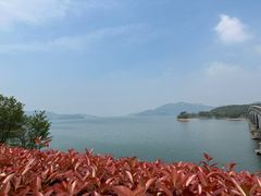 -四明湖