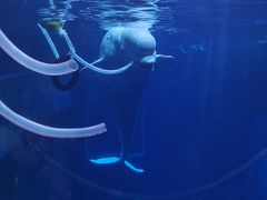 -郑州海洋馆