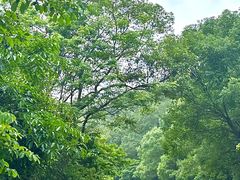 -水库河鲜村