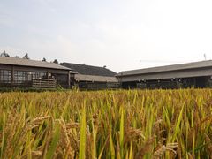 -乌村