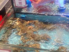 -稻香海鲜饭店(第一国际店)