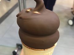 巧克力双球-DQ·蛋糕·冰淇淋(领秀城店)