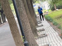 -同济大学(地铁站)