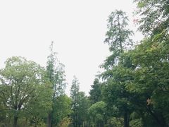 -狼山风景名胜区