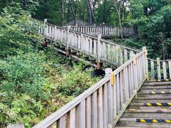 -帽儿山国家森林公园