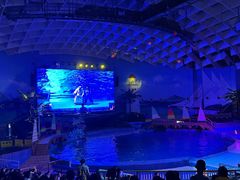-海合安武汉极地海洋公园