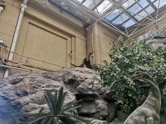 -国家自然博物馆