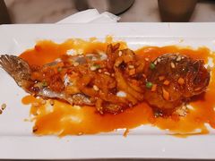 -江南大院松鼠桂鱼(奉贤宝龙店)