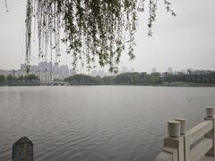 -武汉动物园
