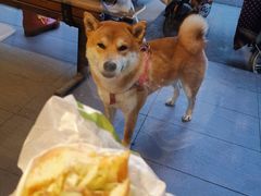 -麦当劳(杭州文三路店)