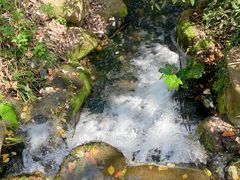 -中国茶叶博物馆(双峰馆区)