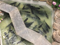 -春盛渔府(牛首山店)