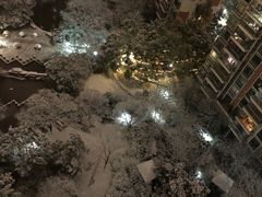 -世纪同乐绿地世纪城二期