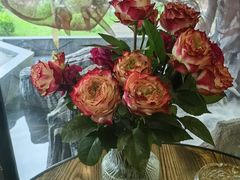 -院里寻菜·精致庭院菜(观沙岭店)