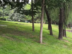 -元大都城垣遗址公园