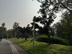 -白鹭湾湿地公园