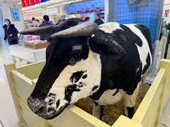 -红星前进面包牛奶公司(君太店)