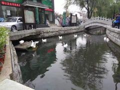 -芙蓉街-王府池子