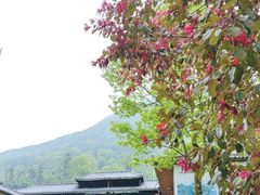 -藏龙百瀑风景区