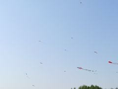 -丁香湖公园