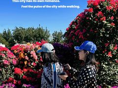 -永定河休闲森林公园