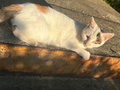 -安徽工业大学(秀山校区)