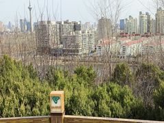 -南翠屏公园