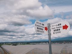 -富田农场