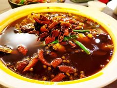 -粤尚腾香居中餐厅(首都机场希尔顿店)