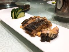 -四季春