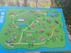 -西部长青自然儿童乐园